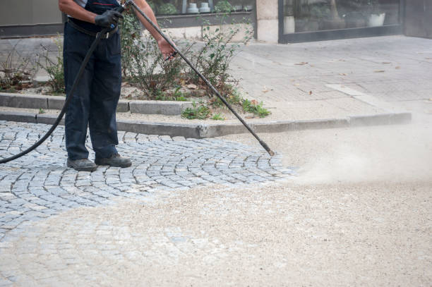 Best Sidewalk and Walkway Cleaning  in Lake Lotawana, MO